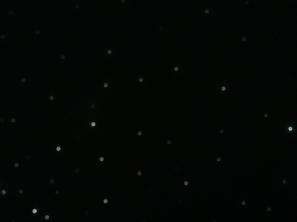 20100228拍攝於西嶼外垵元宵059.jpg