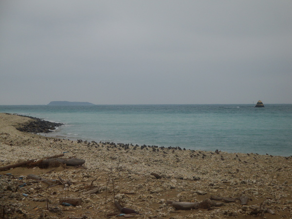 20110216拍攝於青螺沙灘003.jpg
