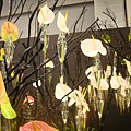 20110406拍攝於台北花博080.jpg