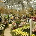 20110406拍攝於台北花博028.jpg