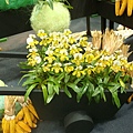 20110406拍攝於台北花博088.jpg