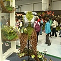 20110406拍攝於台北花博074.jpg