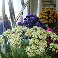 20110406拍攝於台北花博097.jpg