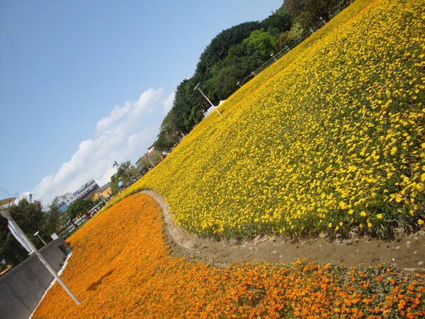20110406拍攝於台北花博135.jpg