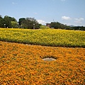 20110406拍攝於台北花博134.jpg