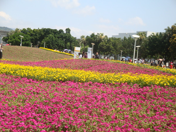 20110406拍攝於台北花博146.jpg