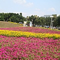 20110406拍攝於台北花博146.jpg