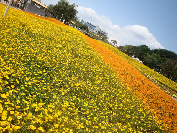 20110406拍攝於台北花博143.jpg