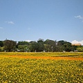 20110406拍攝於台北花博137.jpg