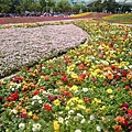 20110406拍攝於台北花博163.jpg