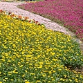 20110406拍攝於台北花博145.jpg