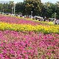 20110406拍攝於台北花博147.jpg