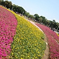 20110406拍攝於台北花博144.jpg