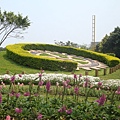 20110407拍攝於台北花博307.jpg