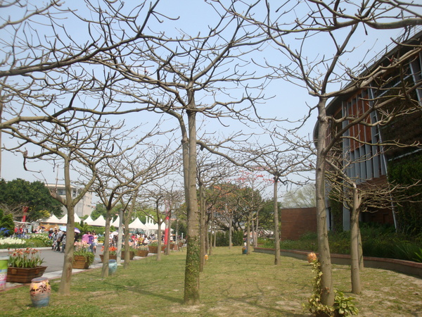 20110407拍攝於台北花博197.jpg