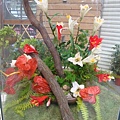 20110407拍攝於台北花博449.jpg