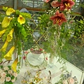 20110407拍攝於台北花博446.jpg