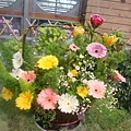 20110407拍攝於台北花博447.jpg