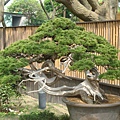 20110407拍攝於台北花博145.jpg