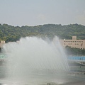 20110408拍攝於台北花博124.jpg