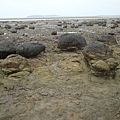 20110628拍攝於牛踏尾026.JPG