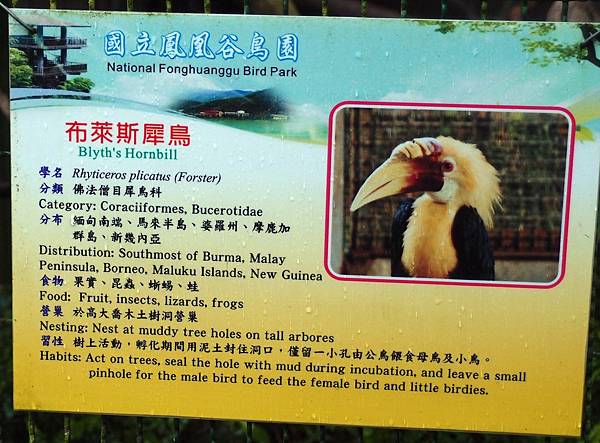 20130625拍攝於鳳凰谷鳥園105.JPG