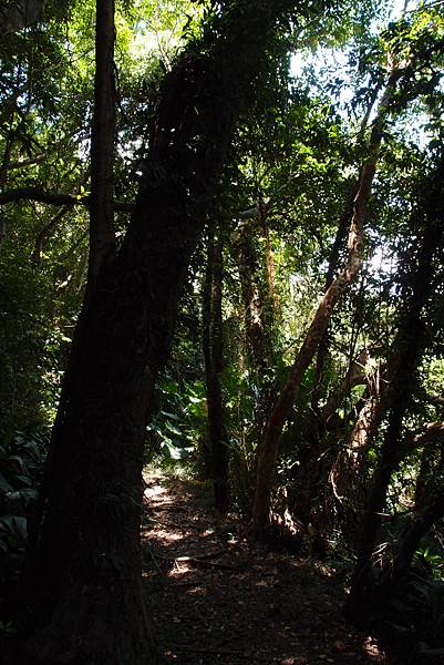 20130906拍攝於雙流森林公園013.JPG