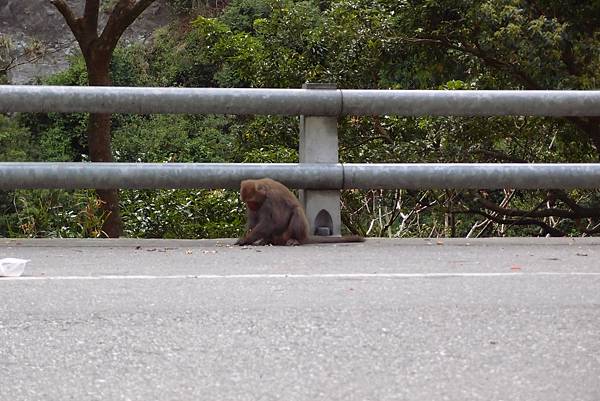 20150303拍攝於登仙橋002