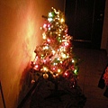 聖誕樹當然是亮著燈的囉