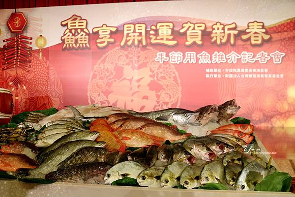 IMG_0478_副本.jpg IMG_0478_副本.jpg