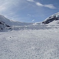 0311 傑士伯國家公園 Jasper National Park-哥倫比亞冰原 Columbia Icefield (除了北極圈之外,北美最大的冰