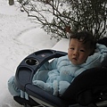 2007.12.13小Ben的雪中初體驗