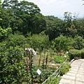 2009.6.7 青山香草園