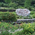 九芎根親水公園