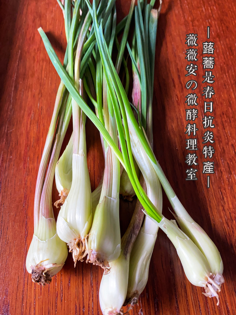 微酵食 紅酒醋漬蕗蕎 蒜頭也可 薇薇安減醣好生活 痞客邦 微酵食 紅酒醋漬蕗蕎 蒜頭也可 薇薇安減醣好生活 痞客邦