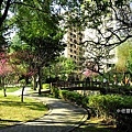 莒光公園.jpg