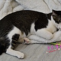 DSC_3087~1.jpg