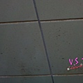 DSC09085~1.jpg