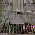 DSC07333 [-1].jpg