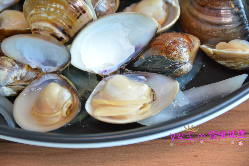 【台中美食】台中南屯蒸氣海鮮 鼎陶蒸 蒸汽海鮮鍋物 永春店 