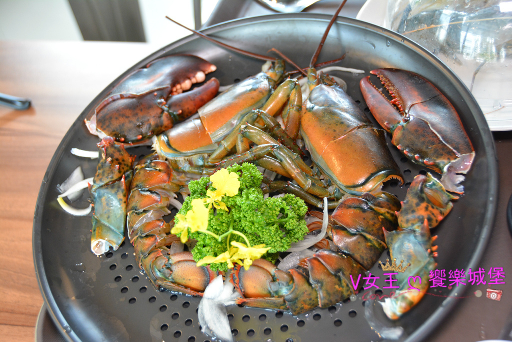 【台中美食】台中南屯蒸氣海鮮 鼎陶蒸 蒸汽海鮮鍋物 永春店 