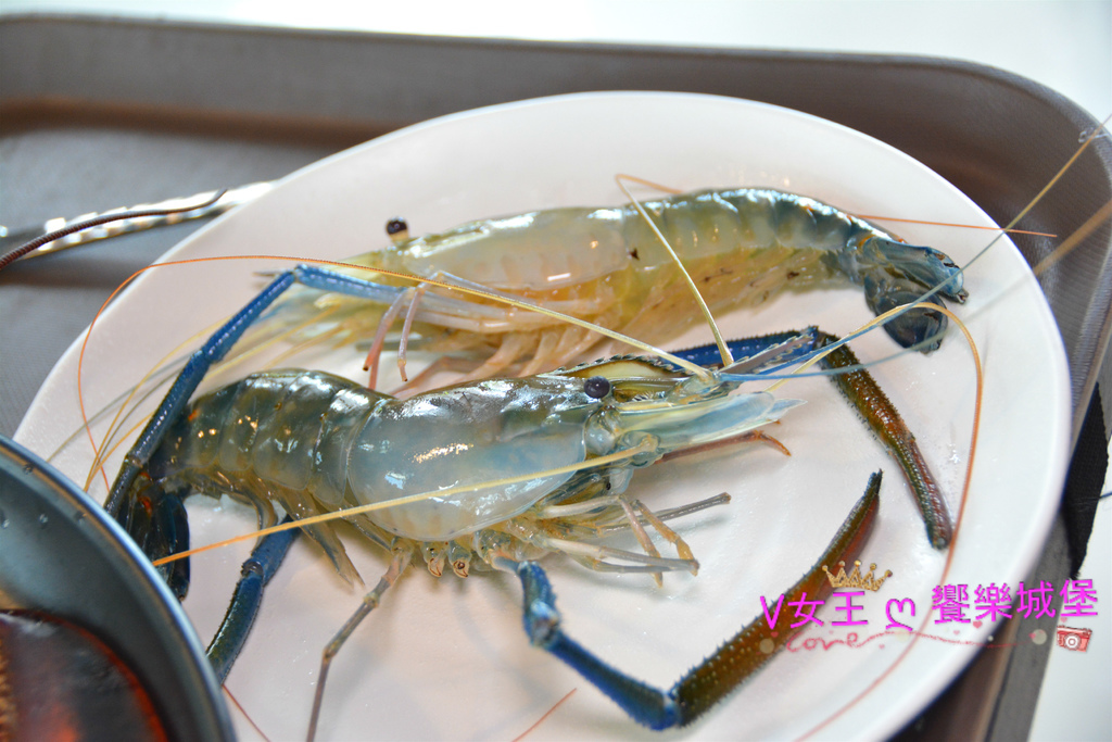 【台中美食】台中南屯蒸氣海鮮 鼎陶蒸 蒸汽海鮮鍋物 永春店 