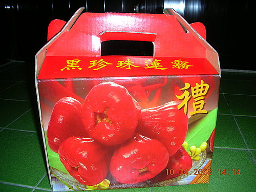[南部] 2008.04.07 清明連假--(完)回台北囉
