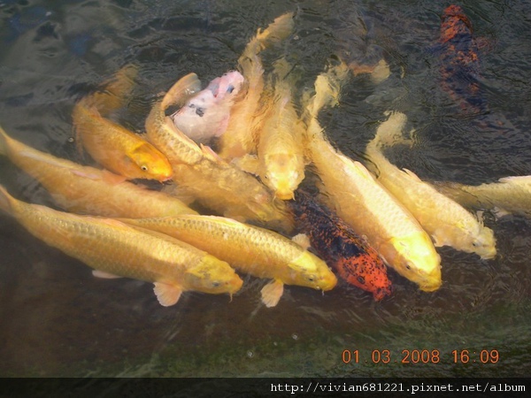 DSCN2930~3.jpg