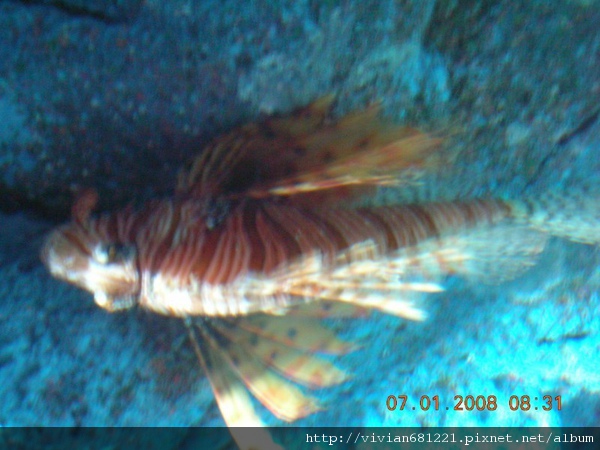 DSCN2384~3.jpg