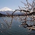 0746 富士山沿路風景.jpg