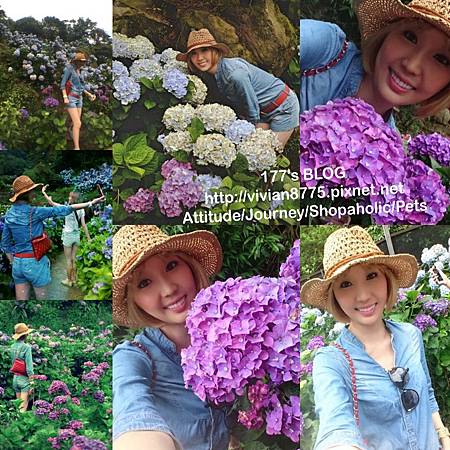 IMG_9692.JPG IMG_9692.JPG