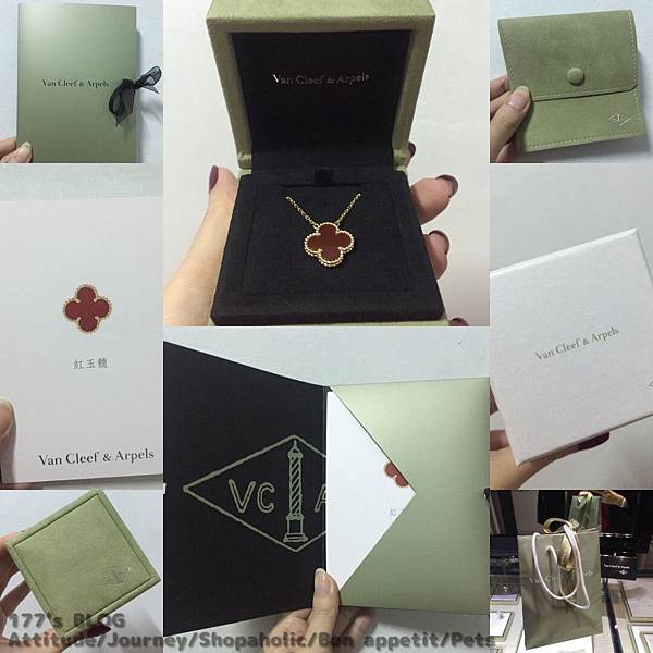 IMG_3566.JPG IMG_3566.JPG