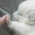 give me five...so Q.jpg