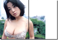 日本F罩杯寫真女星小向美奈子03.jpg